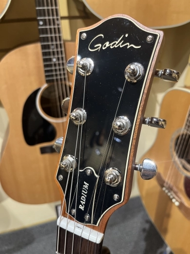 Godin Guitars - G49295 Radium Winchester Brown RN Electric Guitar 3